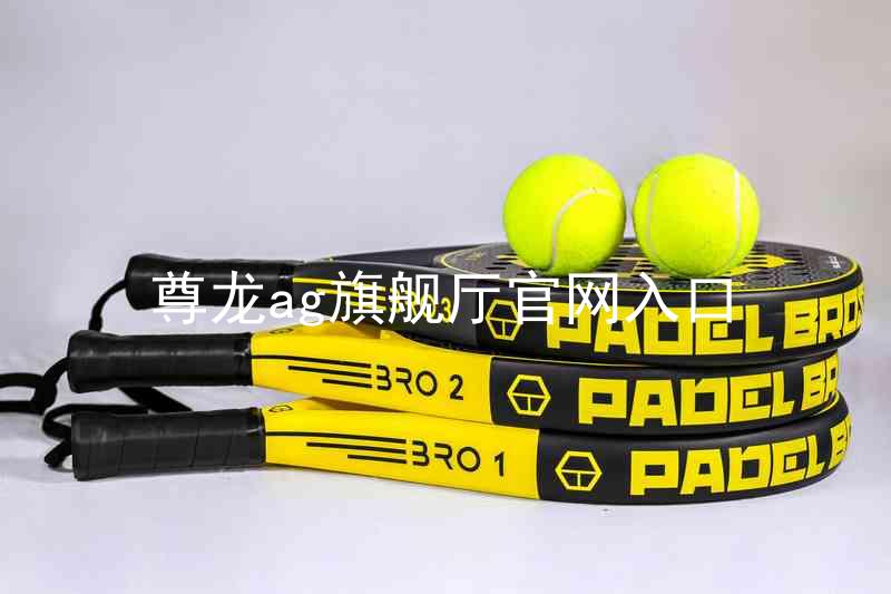 尊龙ag旗舰厅官网入口