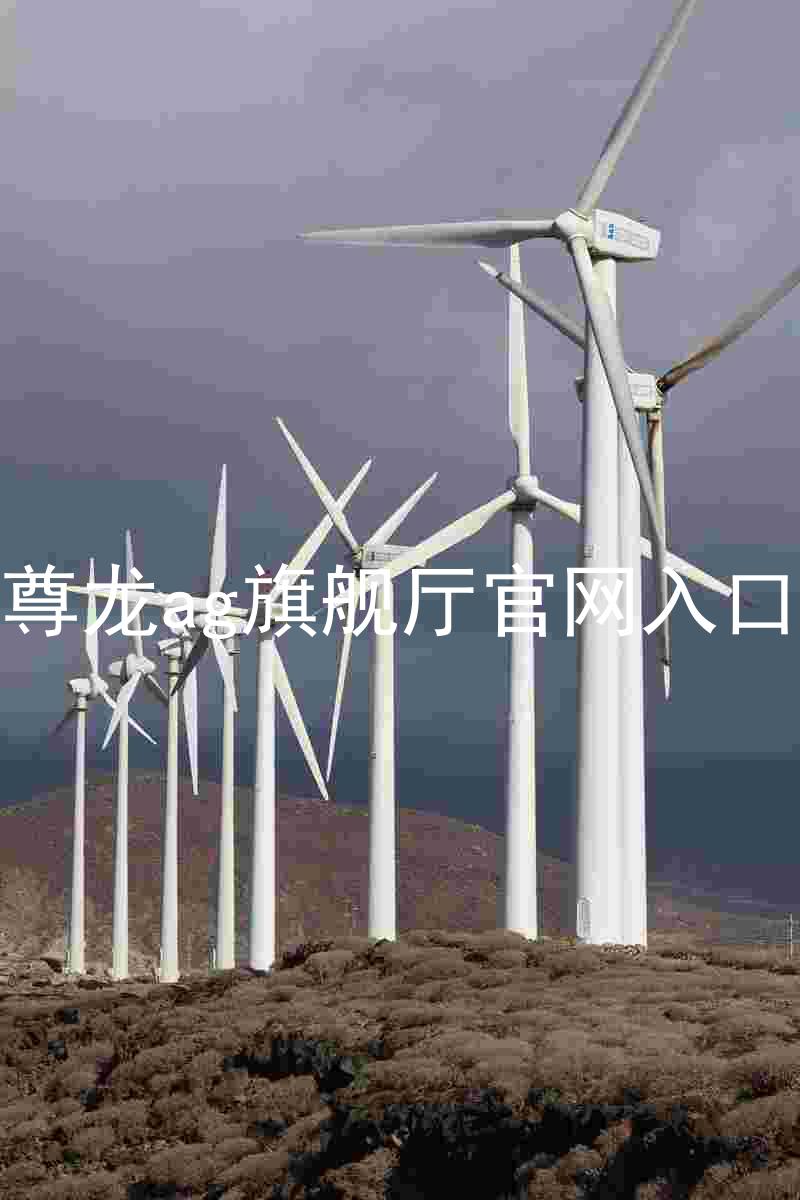 尊龙ag旗舰厅官网入口