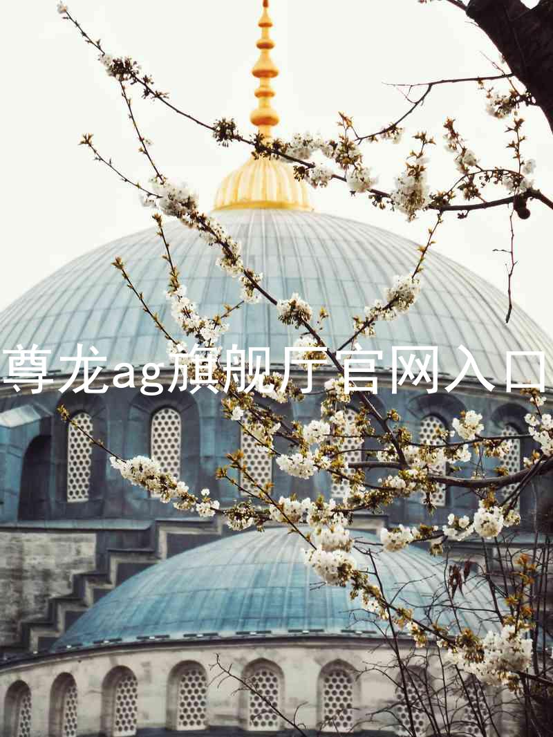 尊龙ag旗舰厅官网入口