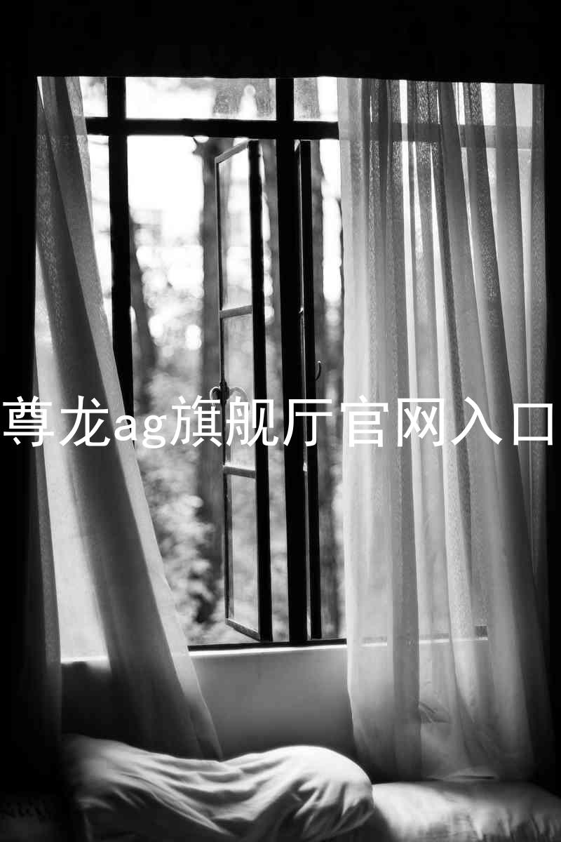 尊龙ag旗舰厅官网入口