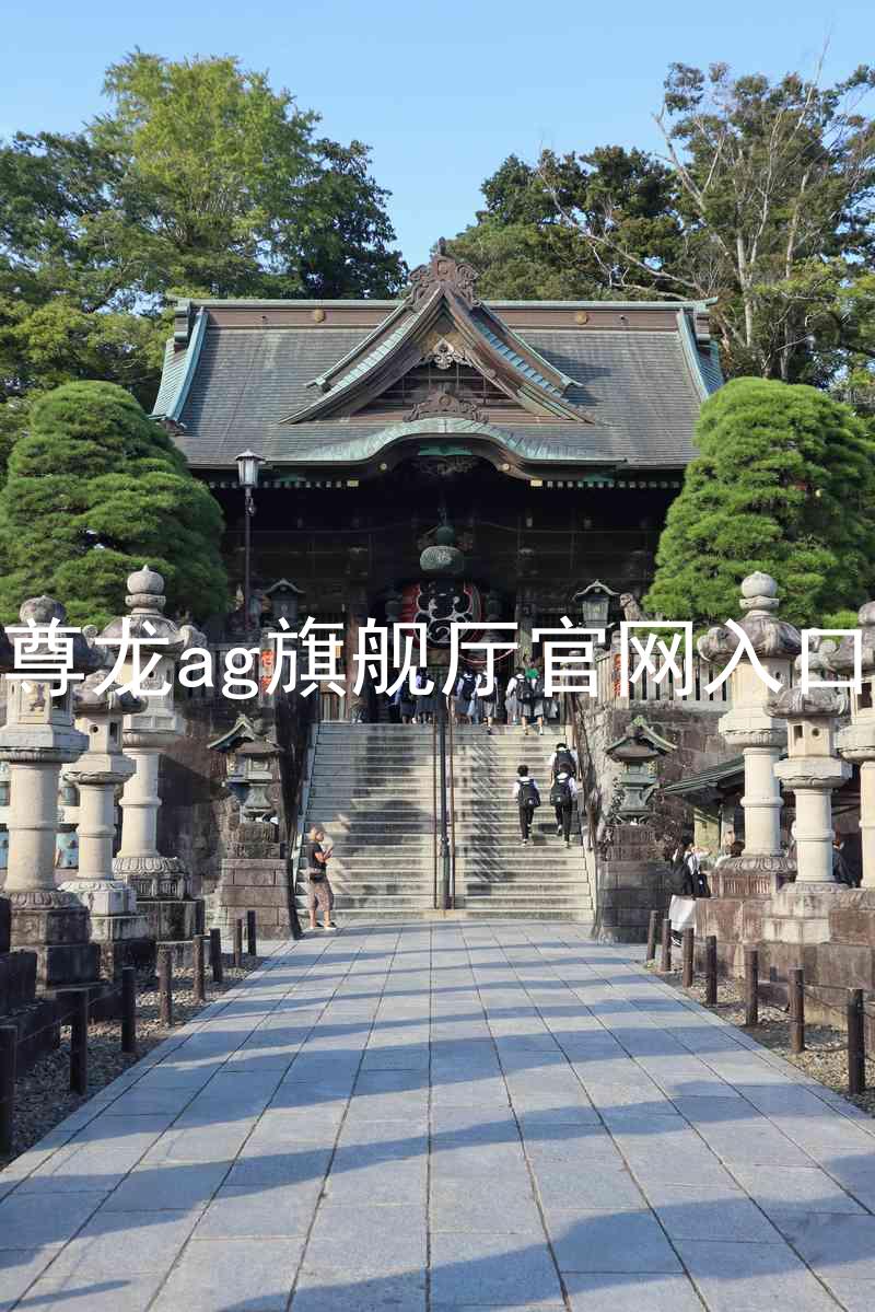 尊龙ag旗舰厅官网入口