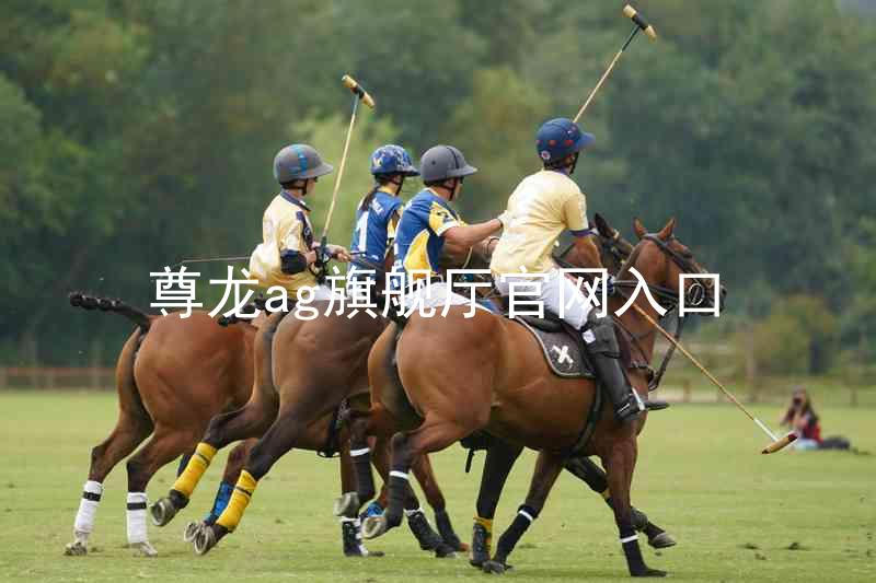 尊龙ag旗舰厅官网入口